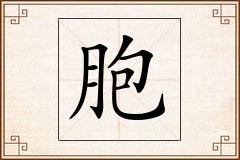 胞怎么写