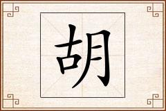 胡怎么写