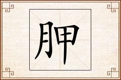 胛怎么写