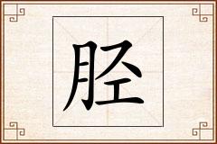 胫怎么写