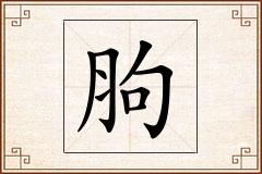 胊怎么写