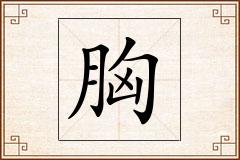 胸怎么写
