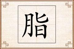 脂怎么写