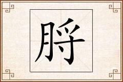 脟怎么写