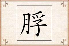 脬怎么写