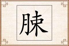 脨怎么写