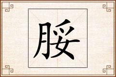 脮怎么写