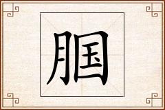 腘怎么写