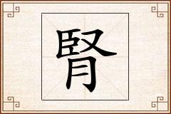 腎怎么写