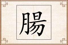 腸怎么写