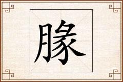 腞怎么写