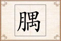 腢怎么写