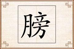 膀怎么写