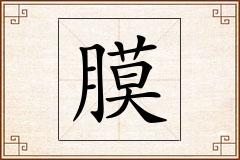 膜怎么写