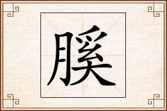膎怎么写
