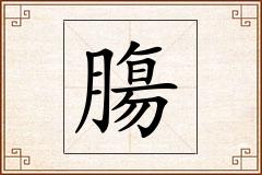 膓怎么写
