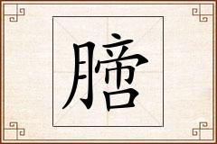 膪怎么写