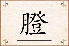 膯怎么写