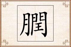 膶怎么写