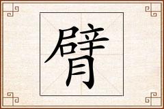 臂怎么写