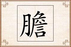 膽怎么写