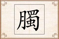 臅怎么写
