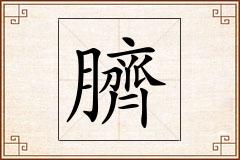 臍怎么写