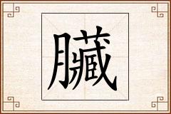 臟怎么写