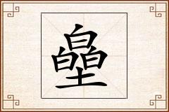 皨怎么写