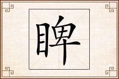 睥怎么写