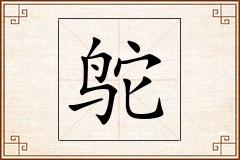 鸵怎么写