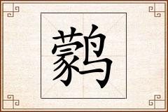 鹲怎么写