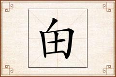 甶怎么写