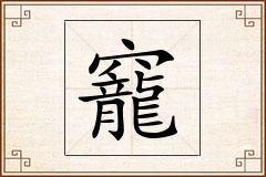 竉怎么写