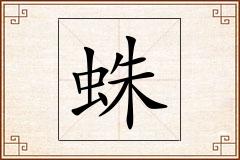 蛛怎么写