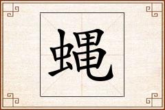 蝿怎么写