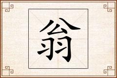 翁怎么写