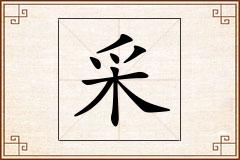 采怎么写