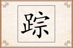 踪怎么写