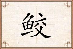 鲛怎么写