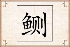 鲗怎么写