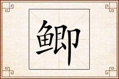 鲫怎么写