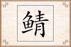 鲭怎么写