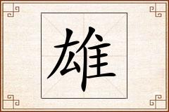 雄怎么写