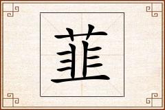 韮怎么写