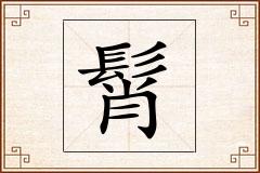 髾怎么写