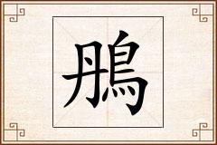 鴅怎么写