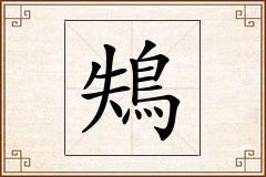 鴩怎么写
