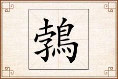鵓怎么写