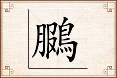 鵩怎么写